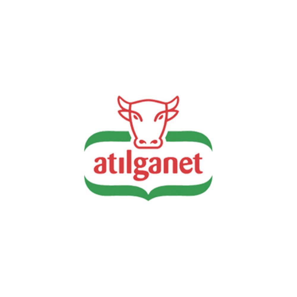 ATILGAN ET