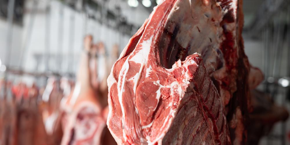 Büyükbaş Et Ürünleri
